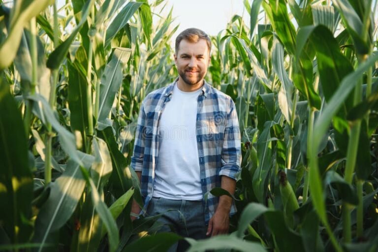Come Sfruttare al Meglio un Terreno Agricolo per Profitto e Sostenibilità 7 Come Sfruttare al Meglio un Terreno Agricolo per Profitto e Sostenibilità