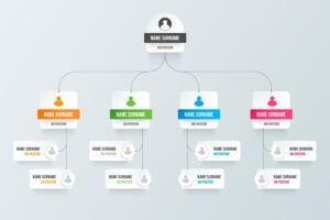 diagramma aziendale semplice con icone colore
