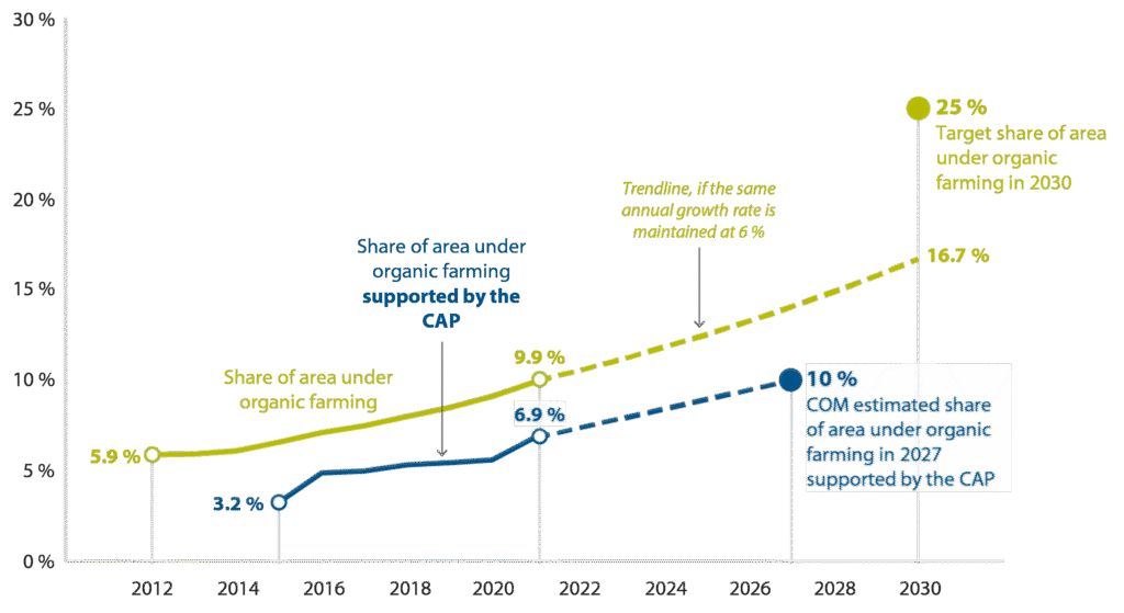 Pac Cos Cos'è il Pac E Quali Sono le Sue Funzioni Principali