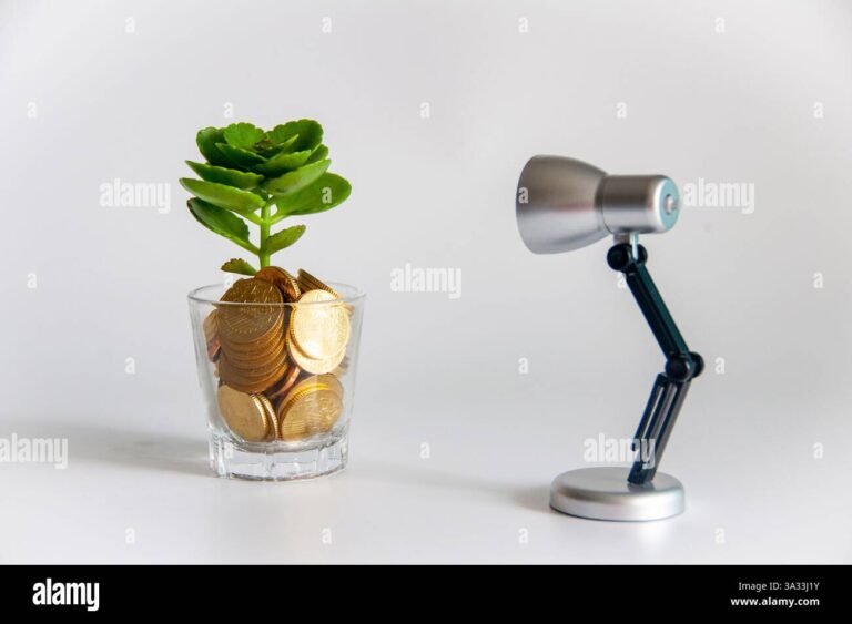 Come funziona un conto deposito e quali sono i suoi vantaggi 16 moneta che cresce da pianta su tavolo banco