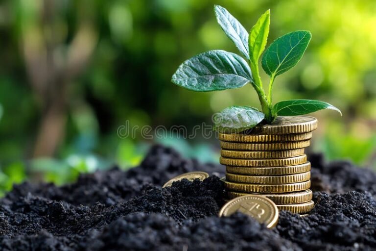 Come Funzionano Gli Interessi Nel Deposito Arancio Di Ing 2 monete che crescono su una pianta verde