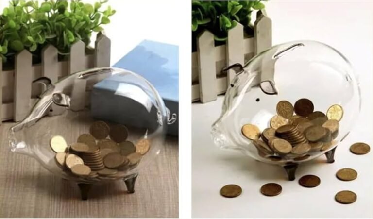 Quali Sono I Migliori Conti Deposito Ad Alto Rendimento Disponibili 11 monete e risparmi in un salvadanaio trasparente