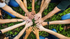 Come Aprire Un’Associazione No Profit: Quali Sono I Passi Essenziali 37 persone che collaborano a un progetto comunitario