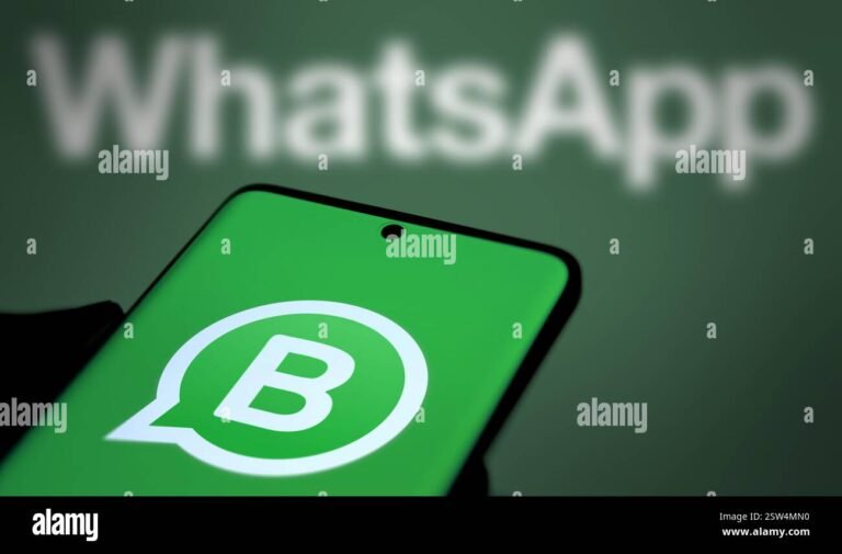smartphone con icona whatsapp business aperta